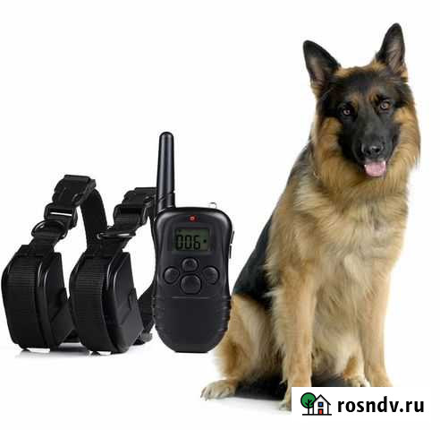 Электронные ошейники для собак, антилай, GPS Набережные Челны - изображение 1