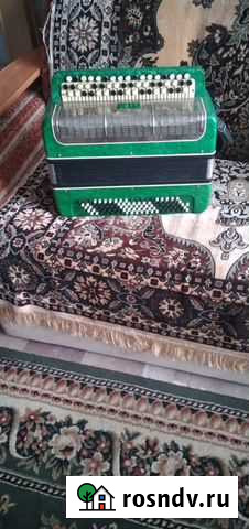 Баян (тула 202, эра и другие) Славгород - изображение 1