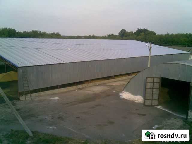 Зернохранилище, ангары, склады, подсобное помещени Константиновск - изображение 1