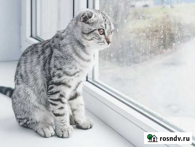 Окна пвх Тула - изображение 1