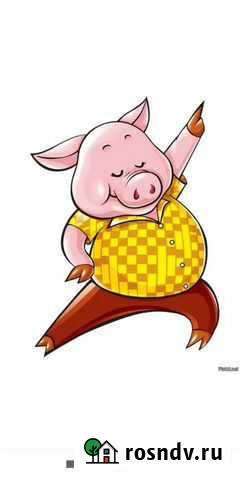 Продам рабочего хряка Виллози - изображение 1