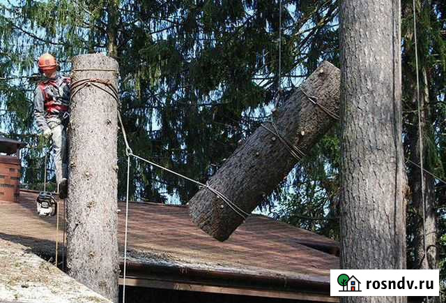 Спил деревьев,уборка участка Владивосток - изображение 1