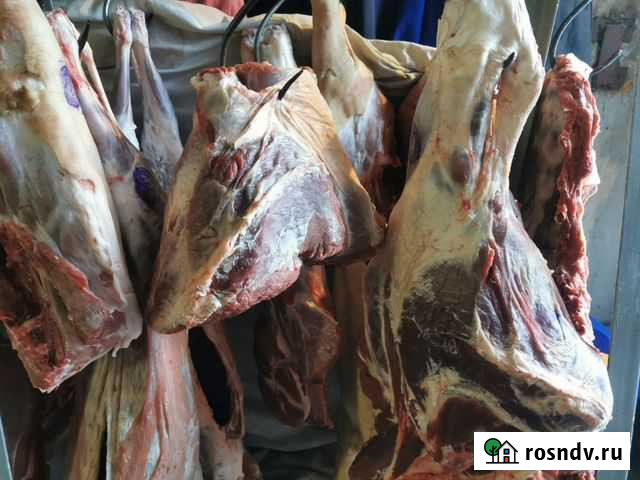 Домашние мясо Бийск - изображение 1