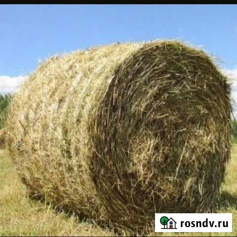 Сено в рулонах Темижбекская - изображение 1