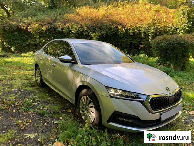 Аренда, прокат авто Шкода Октавия Калининград - изображение 1