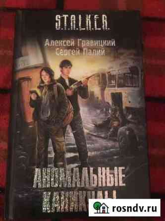 S.T.A.L.K.E.R. Аномальные каникулы книга Нижний Новгород