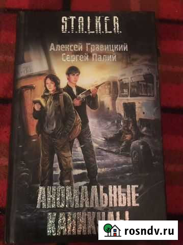 S.T.A.L.K.E.R. Аномальные каникулы книга Нижний Новгород - изображение 1