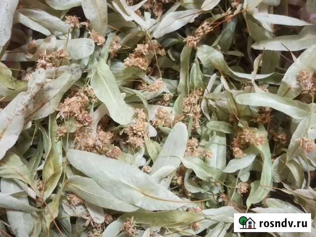 Липовый цвет Мантурово - изображение 1