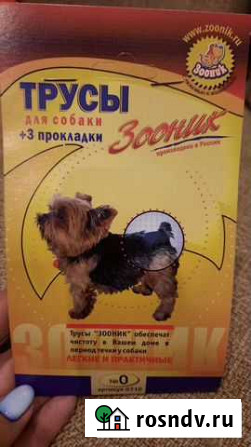 Трусы для собак Королев - изображение 1