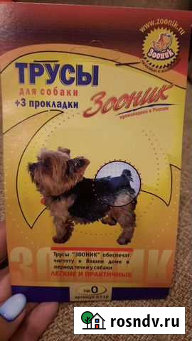 Трусы для собак Королев - изображение 1