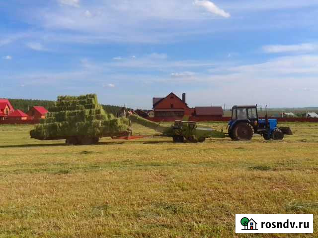 Сено Солома тюках Боголюбово - изображение 1