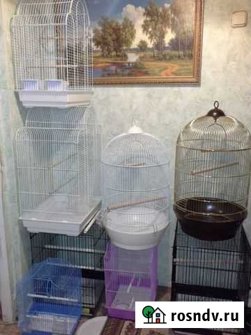 Новая клетка Ростов-на-Дону - изображение 1