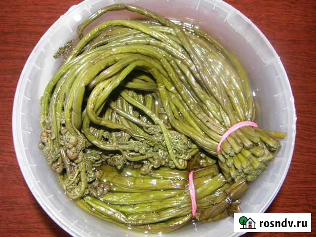 Папоротник соленый Благовещенск - изображение 1