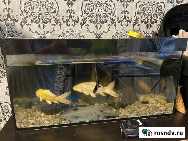 Аквариум 120л Новосибирск - изображение 1