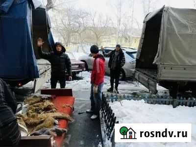 Вывоз мусора Щёлково - изображение 1