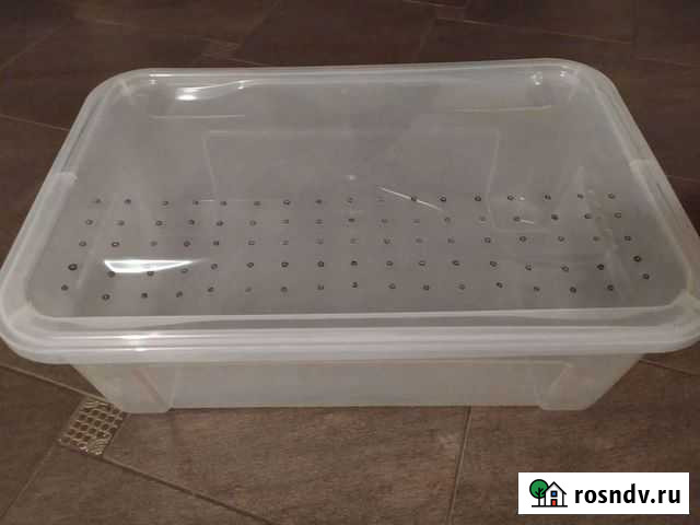 Контейнер для улиток Барнаул - изображение 1