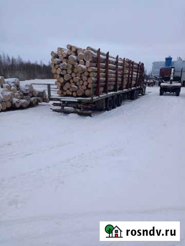 Пиловочник хвойный лес кругляк Тотьма - изображение 1