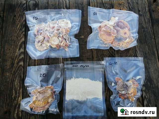 Гриб сухой Камень-на-Оби - изображение 1