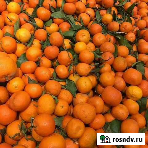 Мандарин бейби Санкт-Петербург - изображение 1