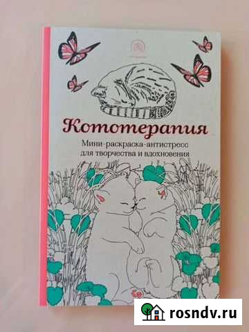 Раскраска котики Мурино - изображение 1