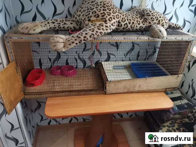 Клетка для грызунов Саратов - изображение 1