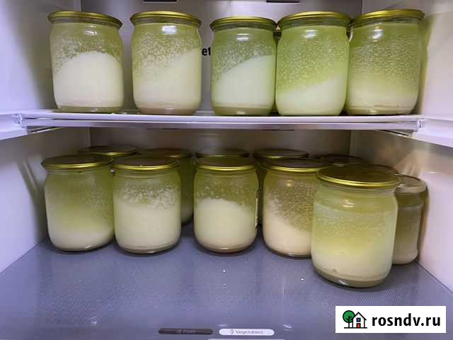 Барсучий жир от охотника Воронеж - изображение 1