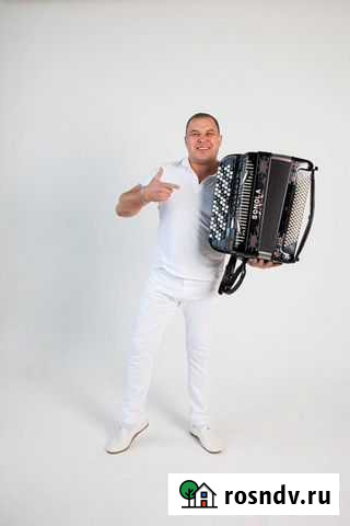 Баянист профессионал Уфа - изображение 1