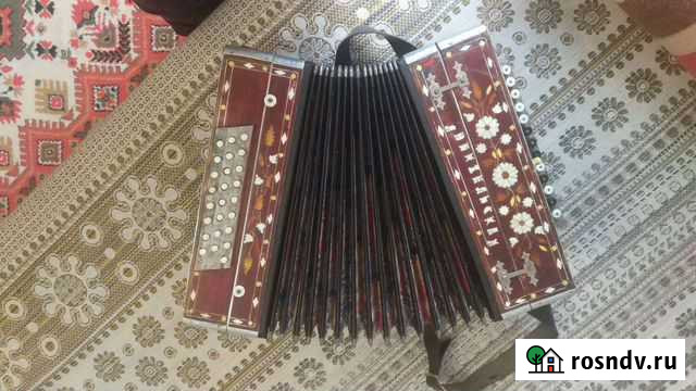 Гармонь любительская Ижевск - изображение 1