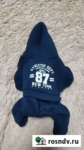 Бомбер на щенка или маленькую собачку.xs ботинки Барнаул - изображение 1