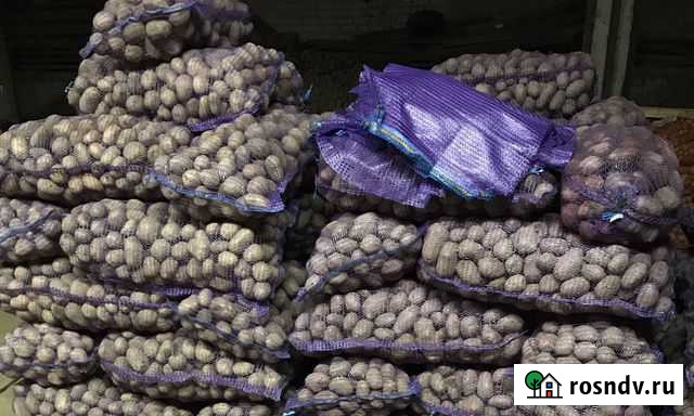 Картофель Вкусный Тверь - изображение 1