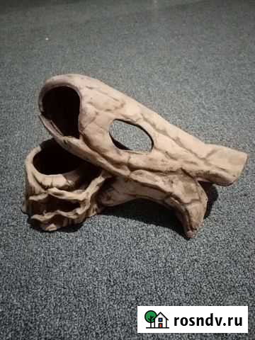 Декор в аквариум Омск - изображение 1