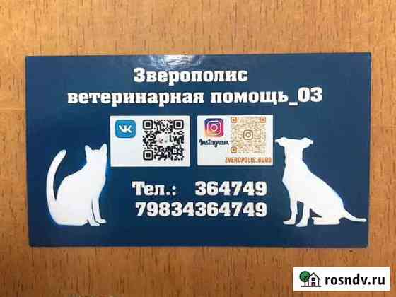Ветеринарный врач на дом Улан-Удэ