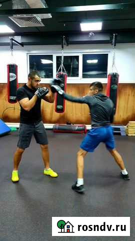 Персональные и групповые тренировки по Боксу Димитровград - изображение 1