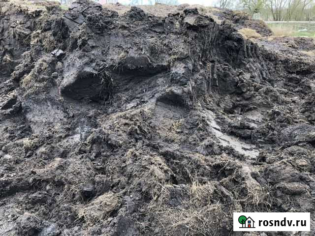 Перегной Чернозём Калининград - изображение 1