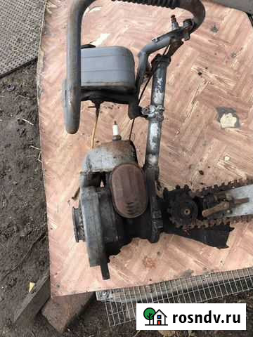 Бензопила дружба Кирсанов - изображение 1