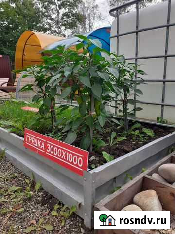 Грядки Артем - изображение 1