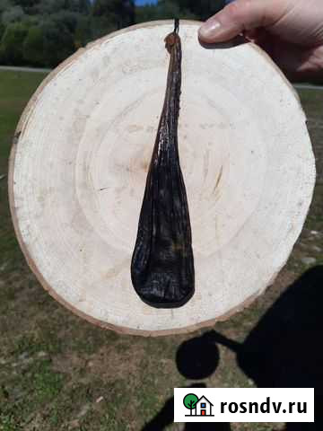 Желчь медицинская Бийск - изображение 1