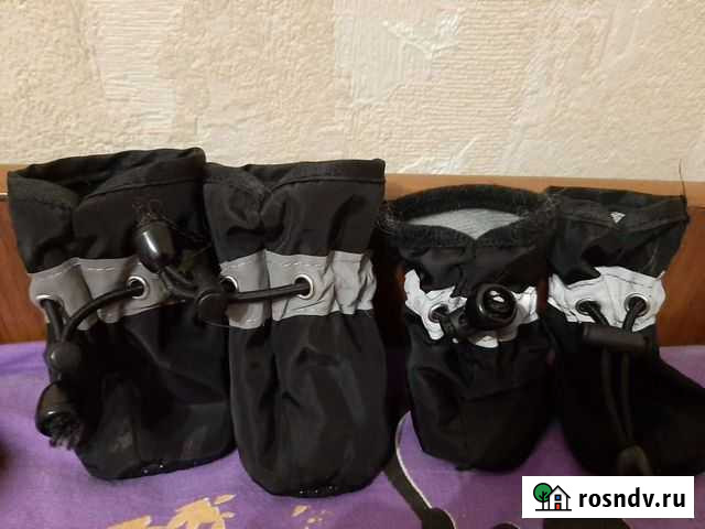 Сапожки для шпица Орехово-Зуево - изображение 1