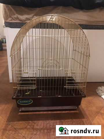 Клетка Королев - изображение 1