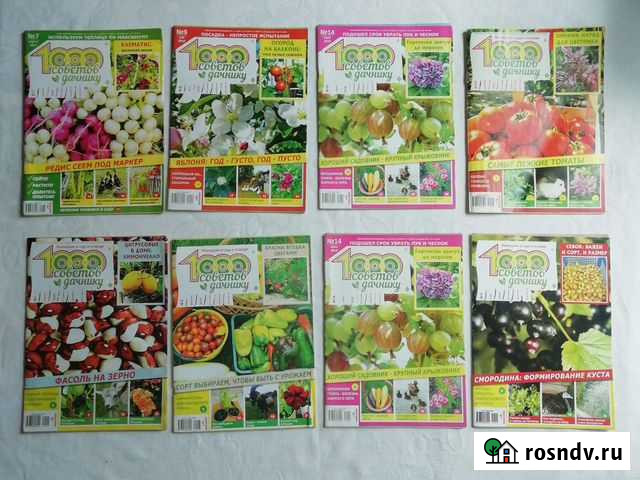 Журналы 1000 советов, 1000 советов дачнику Чита - изображение 1