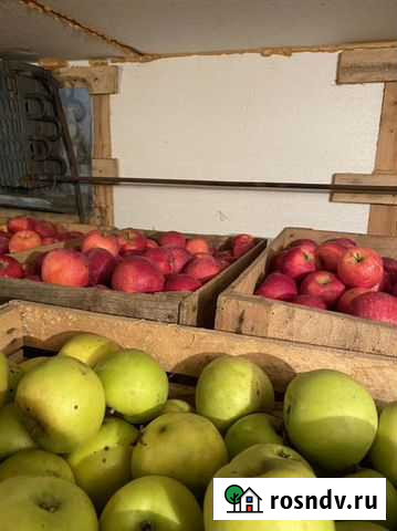 Яблоки Баксан - изображение 1