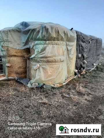 Продам сено в тюках Кантемировка - изображение 1