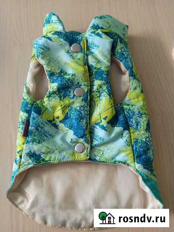 Желеточка, дождевик, сапожки для маленькой собачки Белгород - изображение 1