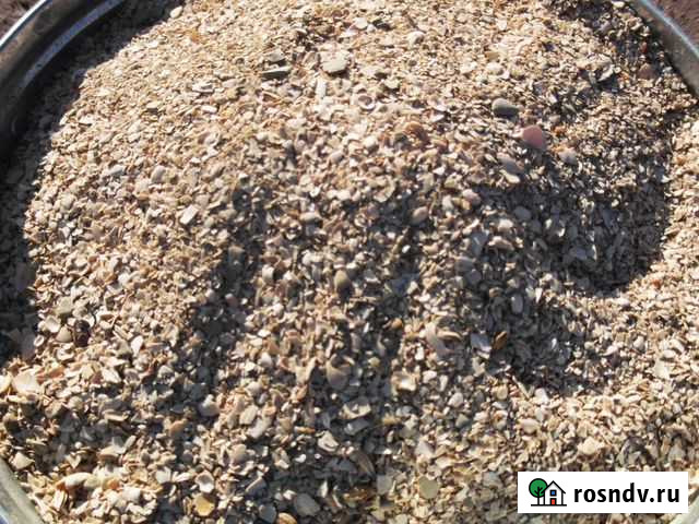 Ракушка высшего сорта Балашов - изображение 1