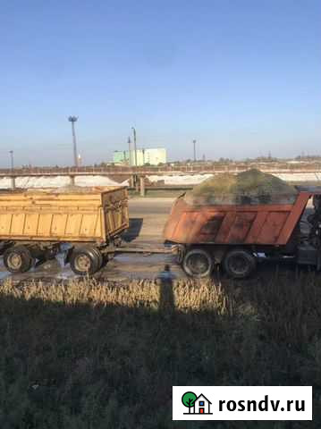 Жом свекольный сырой Краснодар - изображение 1