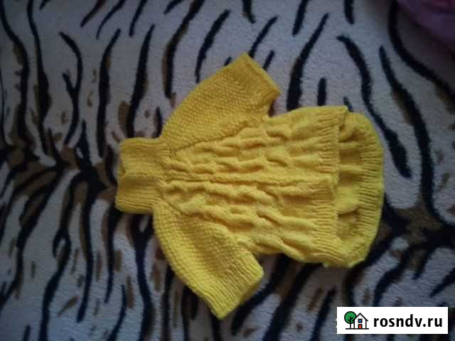 Одежда для маленьких собачек,кошек Камышин - изображение 1