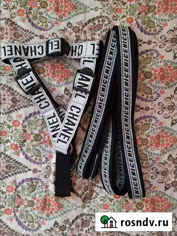 Шлейки,поводки,ошейники,недоуздки Энгельс - изображение 1