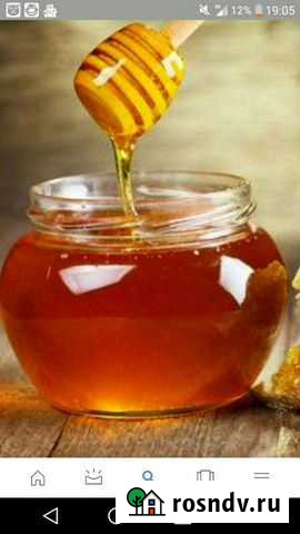 Свежий мед 2021 года Белогорск - изображение 1