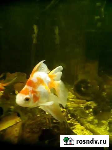 Продам аквариум 200 литров Вилючинск - изображение 1