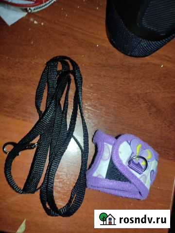 Шлейка для грызунов Ярославль - изображение 1